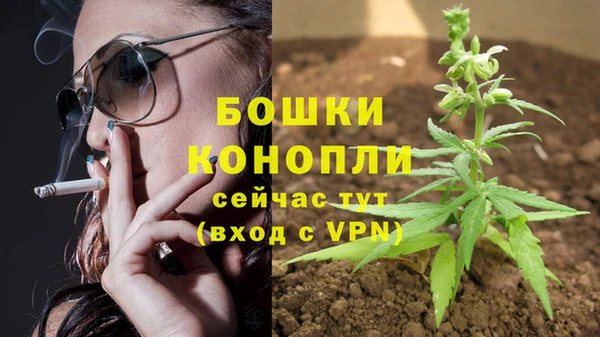 PSILOCYBIN Сафоново
