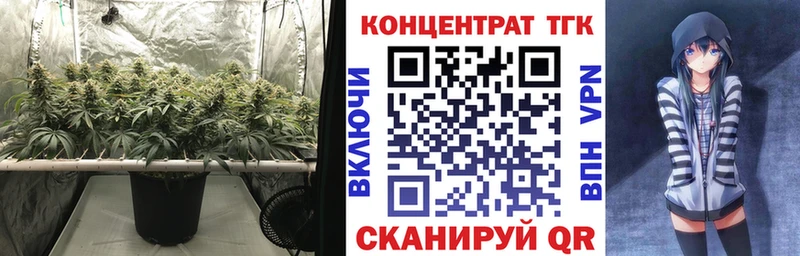 где найти наркотики  Нижняя Тура  Дистиллят ТГК Wax 